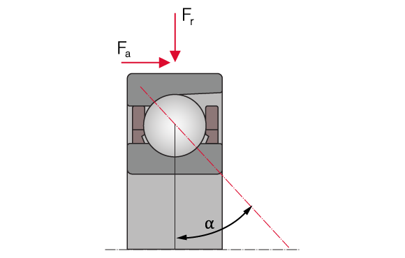 Structure of an Spindle Bearings